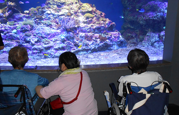 水族館へ外出