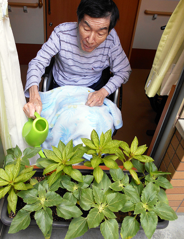 ミニひまわり