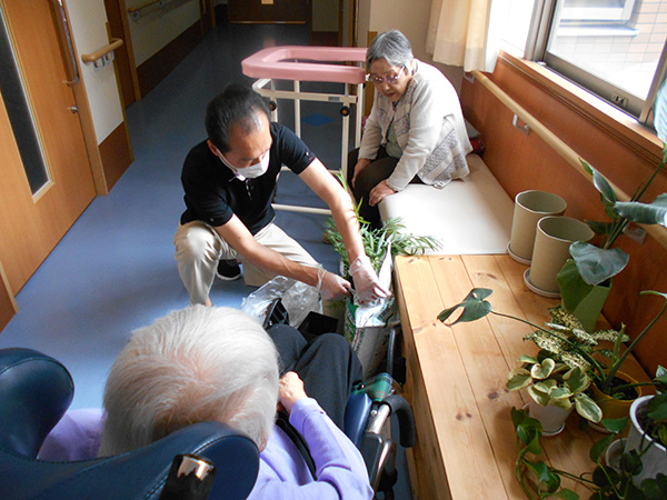 観葉植物の土入れ替え