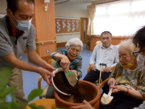 観葉植物の鉢替え