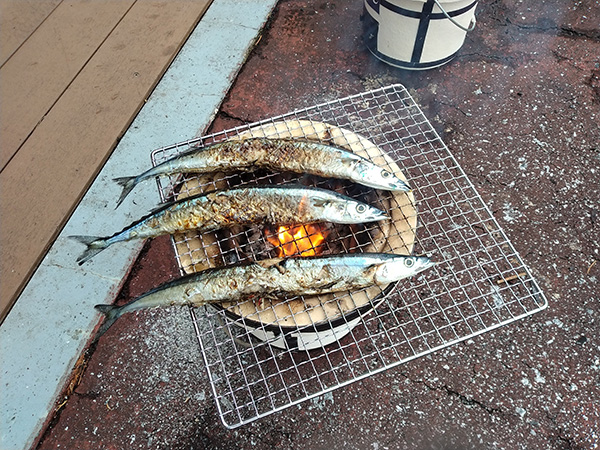 七輪で秋刀魚を食べよう